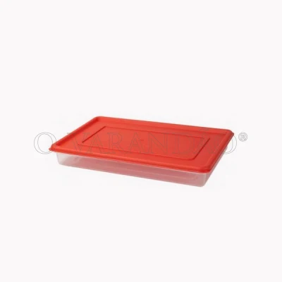 RECIPIENTE PLASTICO RECTANGULAR 800 ml-239x147x35 mm